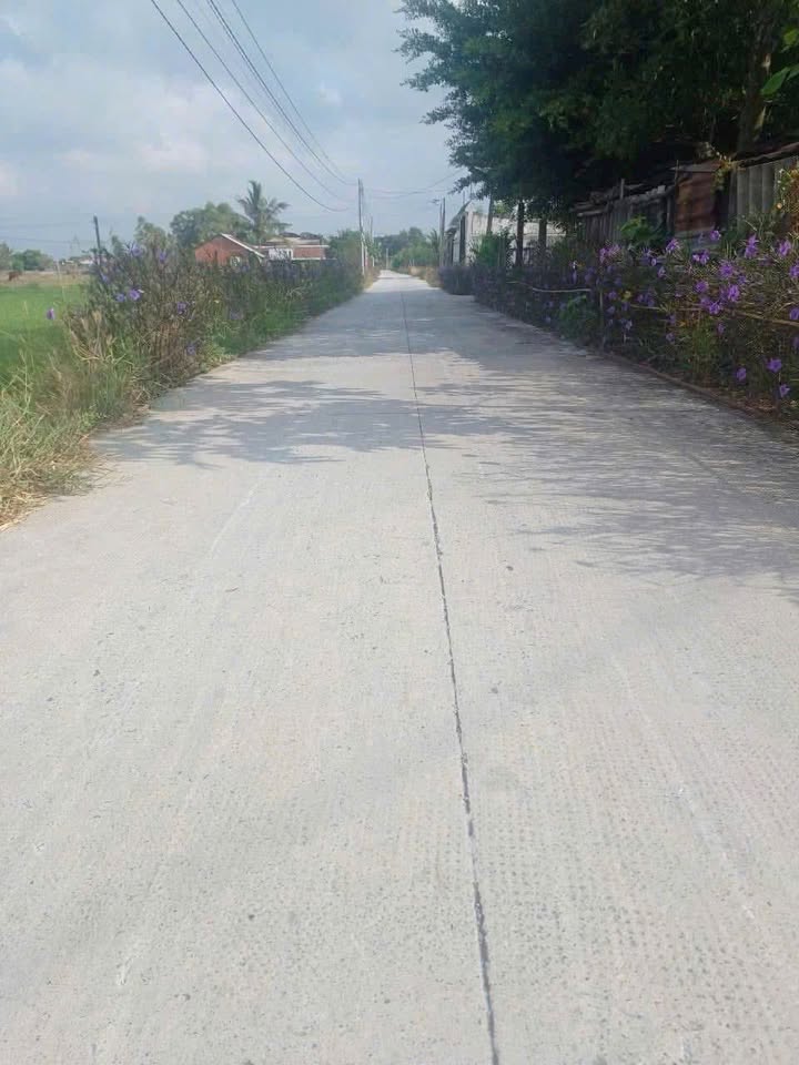 Đất thổ cư Hòa Khánh Nam Đức Hòa 206m² giá 699 triệu - Sổ đỏ chính chủ!