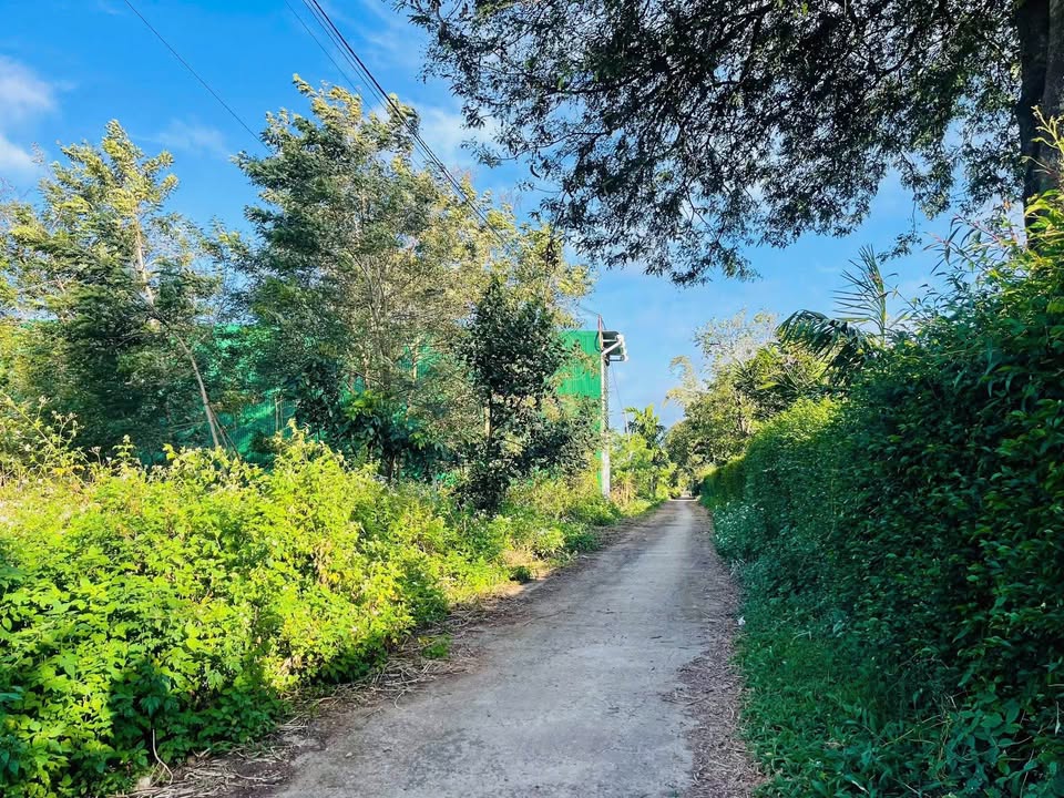 Bán đất hẻm Mậu Thân, Tân An 320m² giá 1.65 tỷ - Đầu tư sinh lời ngay!