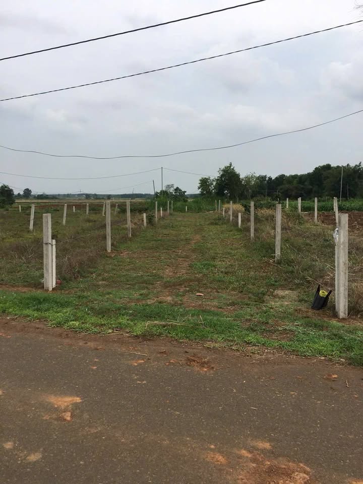 Đất nền Long Tân 190m² giá 1.5 tỷ - Đường nhựa, gần chợ