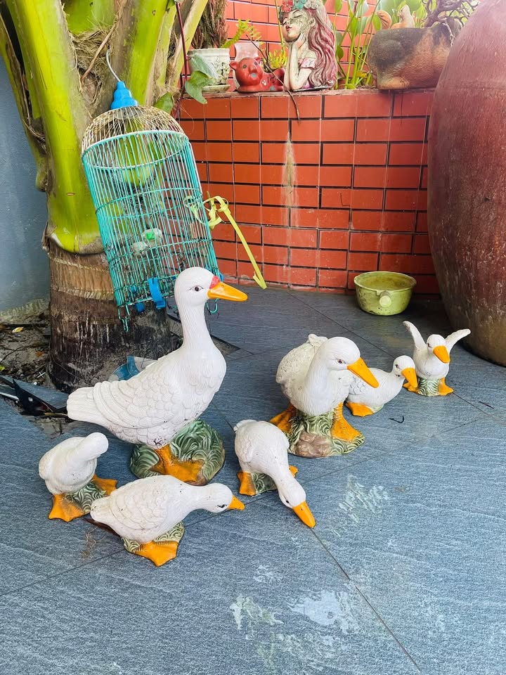 Đất nền Long Tân 200m² giá 1.2 tỷ - Cơ hội đầu tư sinh lời