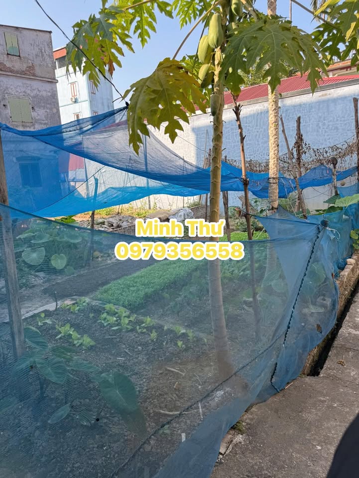 Đất nền Yên Phong 75m² giá 1 tỷ - Đầu tư sinh lời cao!