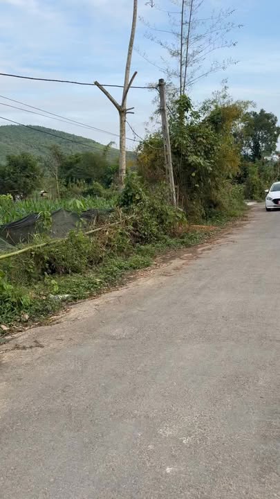 Đất nền Ngọc Đồng Yên Lập 390m² giá 690 triệu - Kinh doanh thuận lợi!