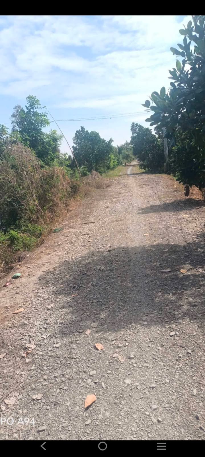 Đất thổ cư Thạnh Lợi Tháp Mười 14.000m² giá 2.56 tỷ - Tiềm năng đầu tư lớn!