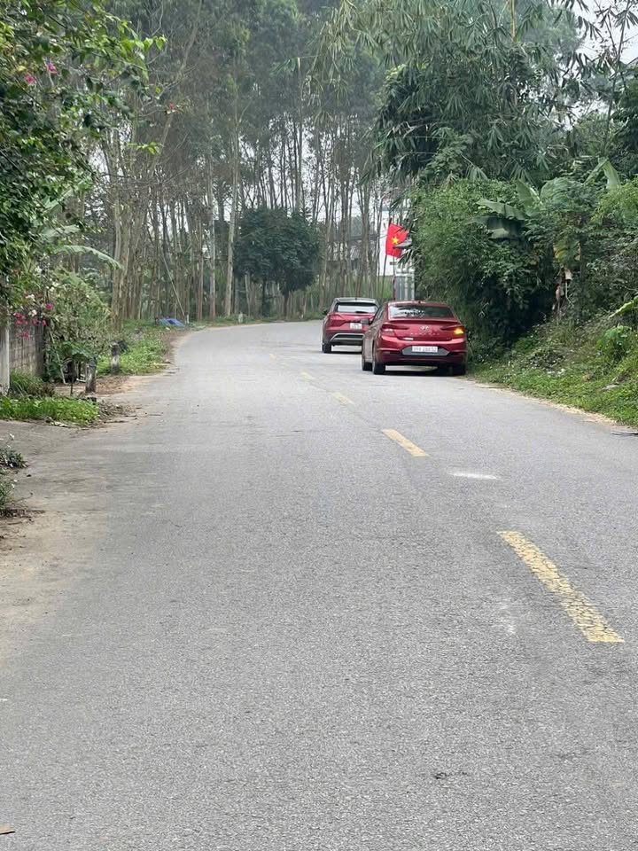 Đất nền Vân Trục, Lập Thạch 200m² giá 2 tỷ - Tiềm năng tăng giá cao!