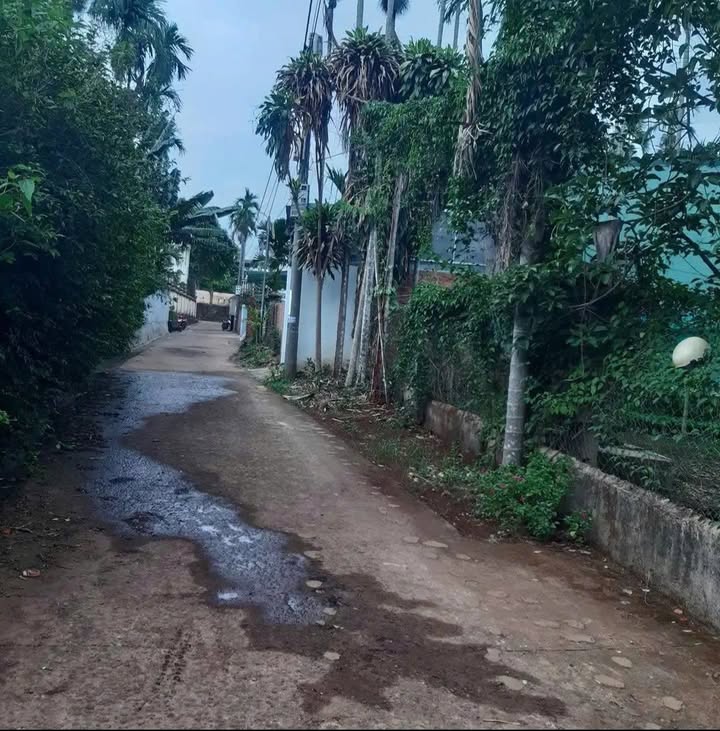 Đất thổ cư Nguyễn Lương Bằng, Buôn Ma Thuột 101m² giá 1.2 tỷ - Cơ hội đầu tư hấp dẫn!