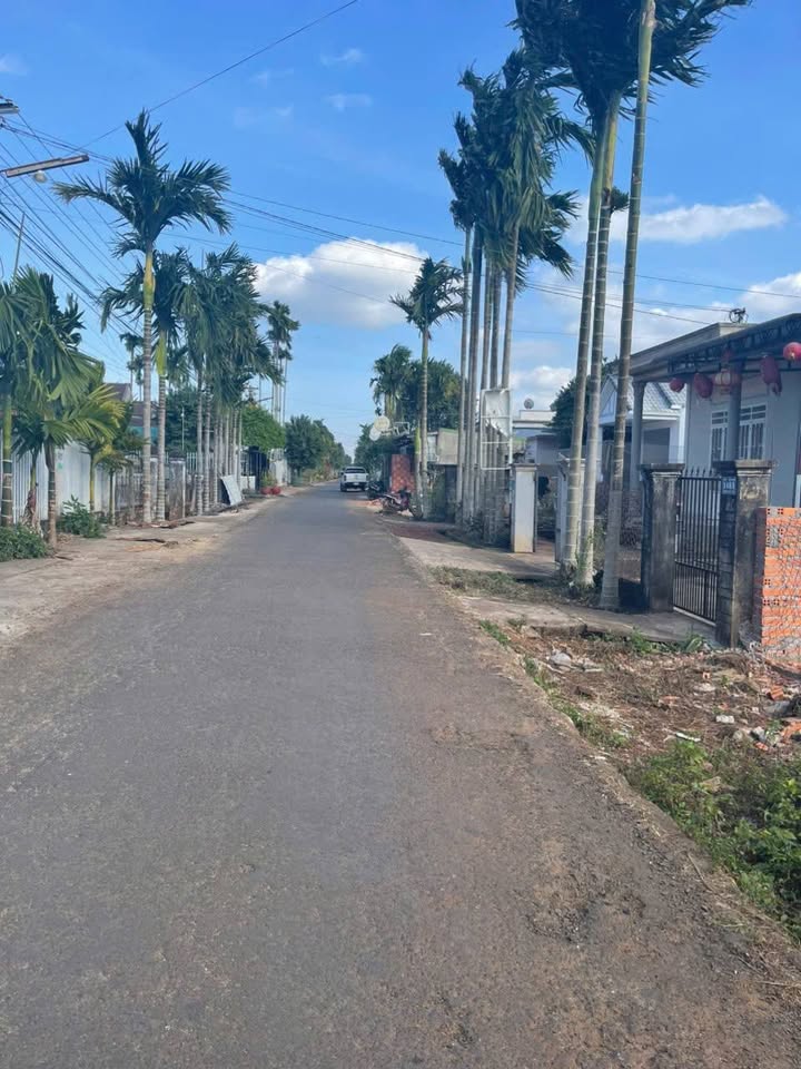 Đất đẹp đường 14A Tân An Buôn Ma Thuột 480m² giá 3 tỷ - Cơ hội đầu tư tuyệt vời!