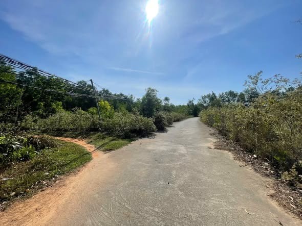 Đất nền Cây Thông Trong Phú Quốc 116m² giá 800 triệu - Cơ hội đầu tư hấp dẫn!