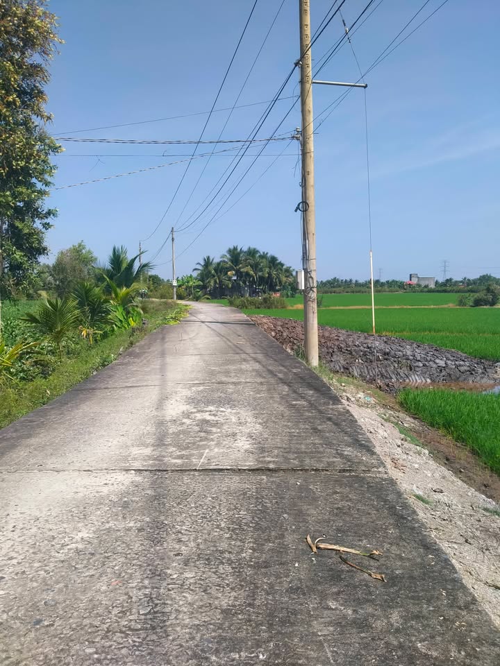 Đất mặt tiền đường Long Định, Châu Thành, Đồng Tháp 5200m² - Giá chỉ 399 triệu/công!