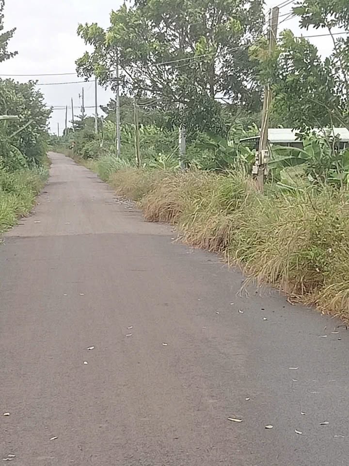 Đất vườn Nghĩa Thành Châu Đức 1333m² giá 1.48 tỷ - Cơ hội đầu tư hấp dẫn!