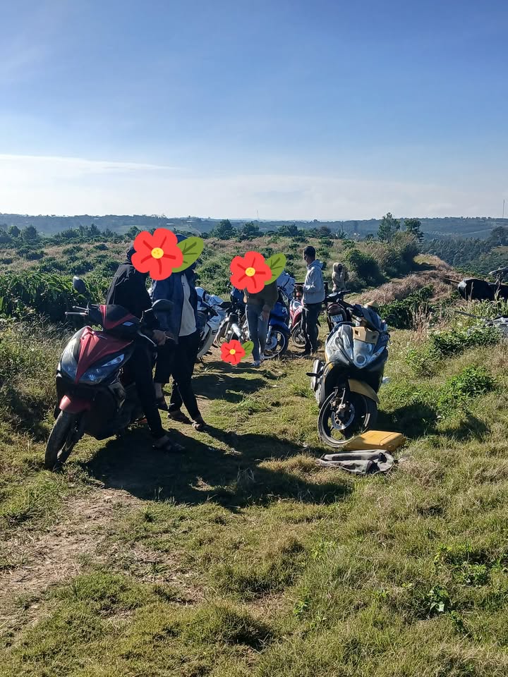 Đất Farm Tân Thành Đức Trọng 1ha giá 1.9 tỷ - Đầu tư sinh lời ngay!