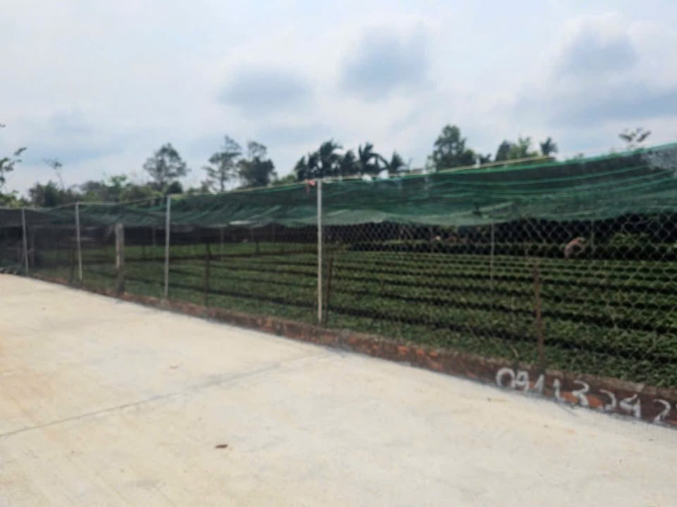 Đất thổ cư Hòa Thắng, Buôn Ma Thuột 105m² giá 1.5 tỷ - Đầu tư sinh lời ngay!