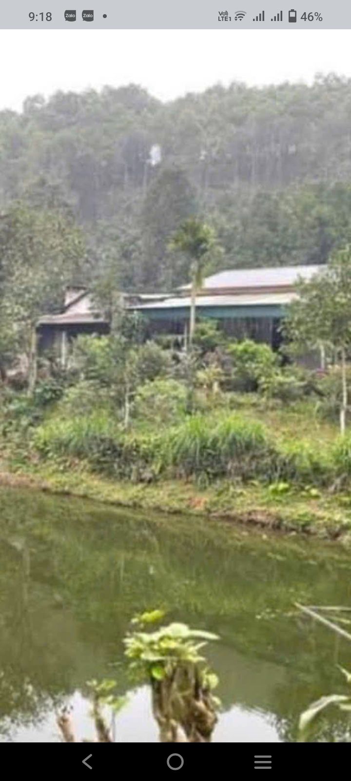 Nhà trang trại Minh Bảo Yên Bái 1.6ha giá 2 tỷ - Đầu tư sinh lời hấp dẫn!