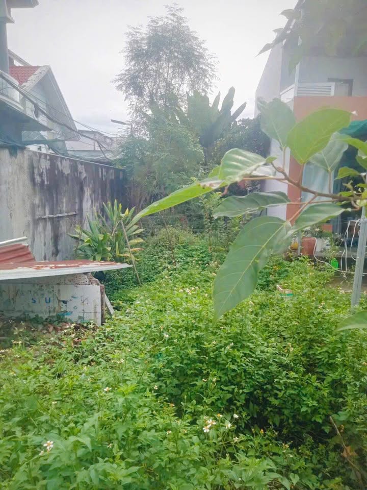 Đất Bà Điểm Hóc Môn 102m² giá 2.65 tỷ - Sổ hồng riêng, vị trí đắc địa!