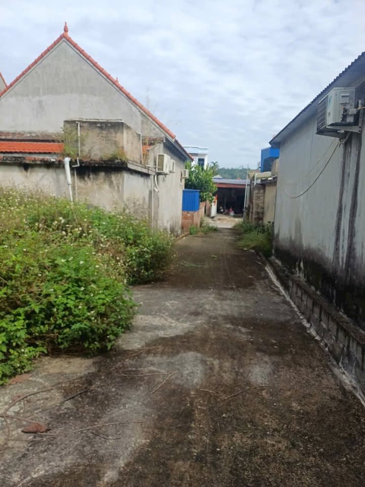 Đất nền Quảng Thanh 5, Hải Phòng 60m² giá 650 triệu - Vị trí đẹp, tiềm năng đầu tư!