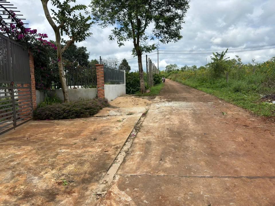 Đất 5 sào đường Lam Sơn, Pleiku 2.5 tỷ - Thích hợp xây nhà vườn nghỉ dưỡng!