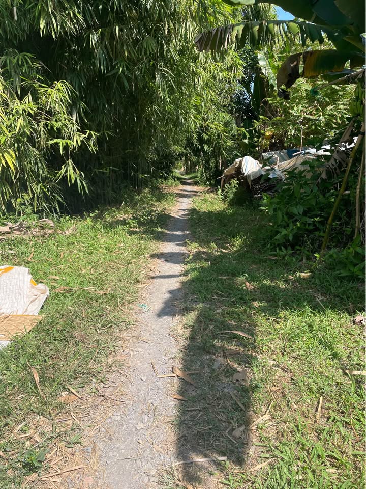 Đất vườn 6.100m² tại Hòa Long, Lai Vung, Đồng Tháp - Giá chỉ 1.708 tỷ, sổ hồng chính chủ!