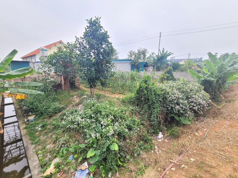 Đất nền 400m² Thôn 3 Sông Khoai giá chỉ 10 tỷ - Đầu tư sinh lời ngay!