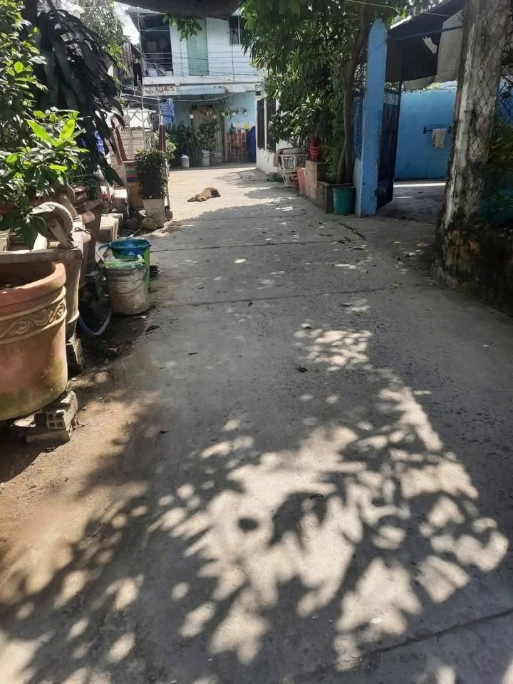 Nhà cấp 4 ở phường 1, TP Sa Đéc 16m² giá 600 triệu - Nhà mới vào ở ngay!