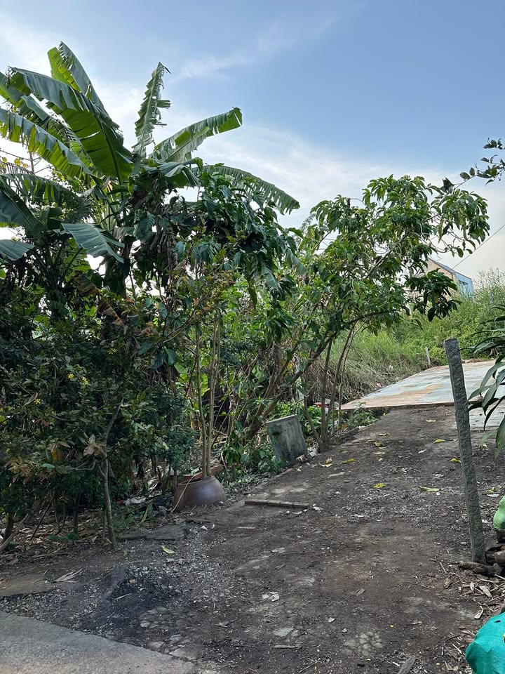 Đất nền mặt tiền ĐAL Ngã Cạy 150m² giá chỉ 650 triệu - Cơ hội đầu tư sinh lời!