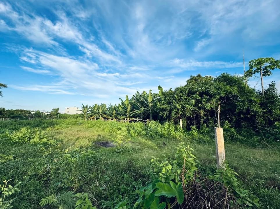 Đất thổ cư 500m² Nhơn Phú, Tuy Phước giá 1.8 tỷ - Tiềm năng đầu tư cao!