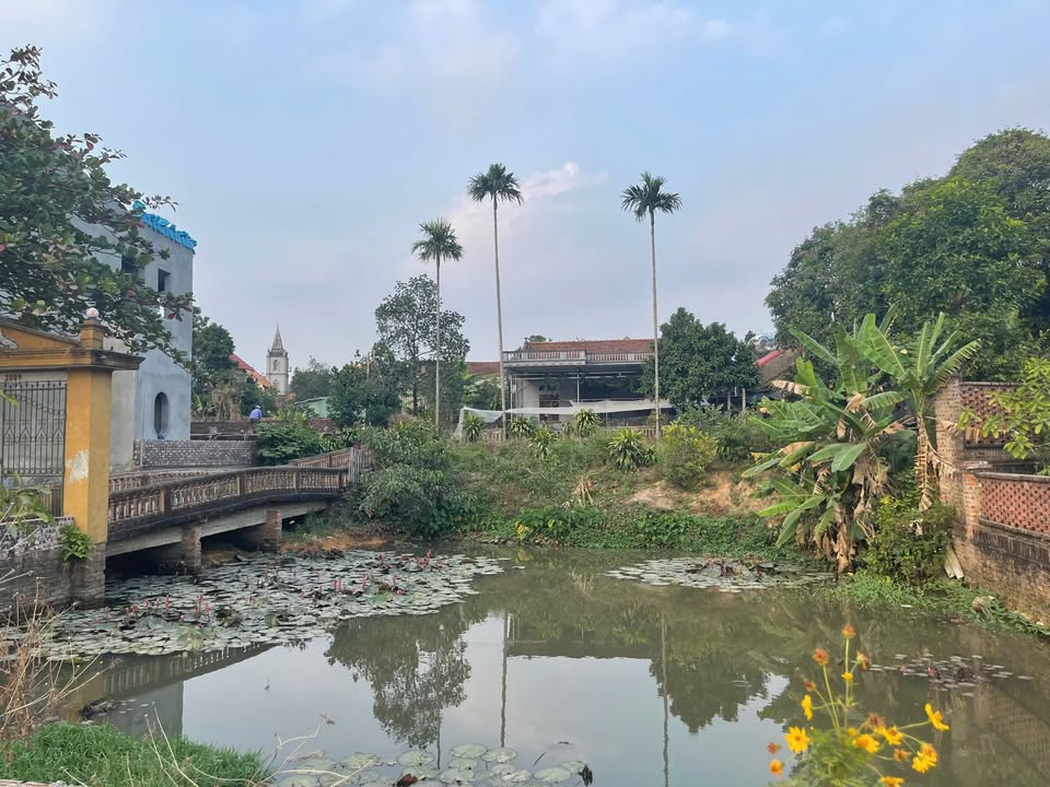 Bán đất nhà vườn nghỉ dưỡng Trung Giã, Sóc Sơn 1.000m² - Đầu tư lý tưởng!