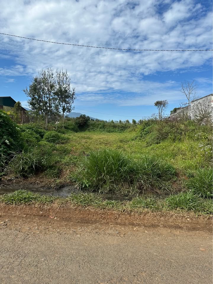 Đất thổ cư 350m² tại Hiệp Thành 1, Di Linh - Giá chỉ 3.5 tỷ