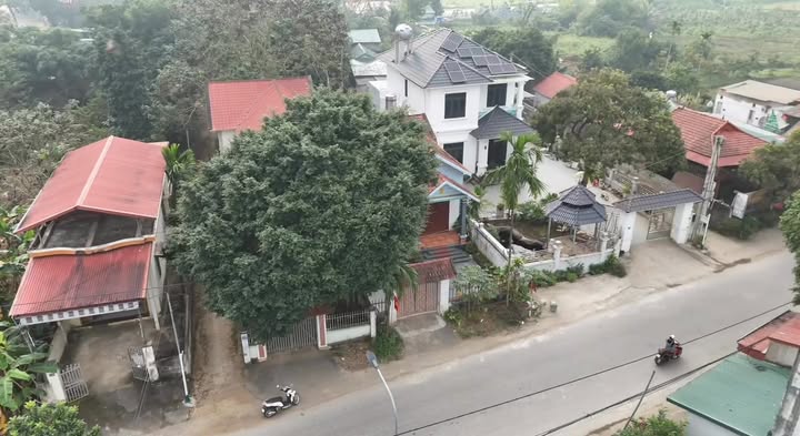 Nhà cho thuê đường Tỉnh lộ 523B, Cẩm Tú 2.5 triệu - Sẵn vào ở ngay!