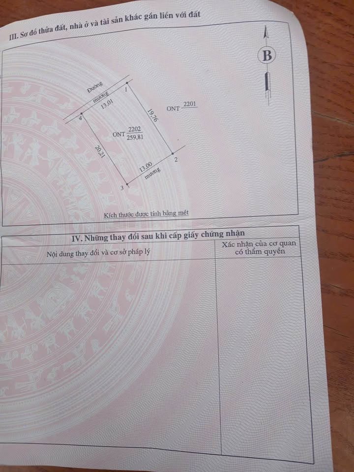 Đất đấu giá Nam Lĩnh, Nam Đàn 260m² giá 3.1 tỷ - Cơ hội đầu tư tuyệt vời!