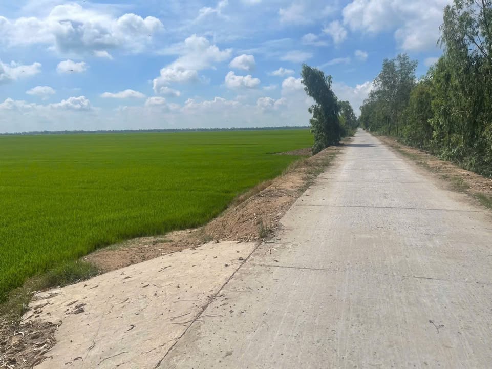 Đất nông nghiệp 11 công tại Bình Thạnh, Hồng Ngự - Giá chỉ 1.485 tỷ