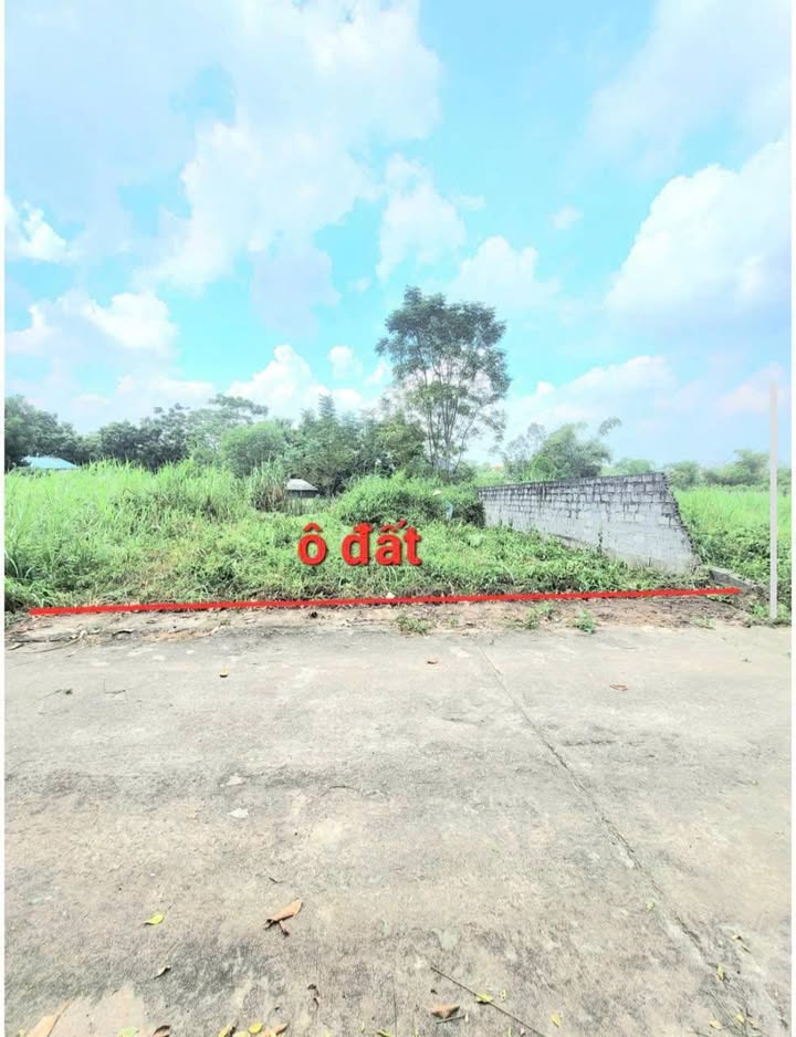 Đất thổ cư Hướng Đạo, Tam Dương 360m² giá 1.48 tỷ - Đường rộng, thông thoáng!