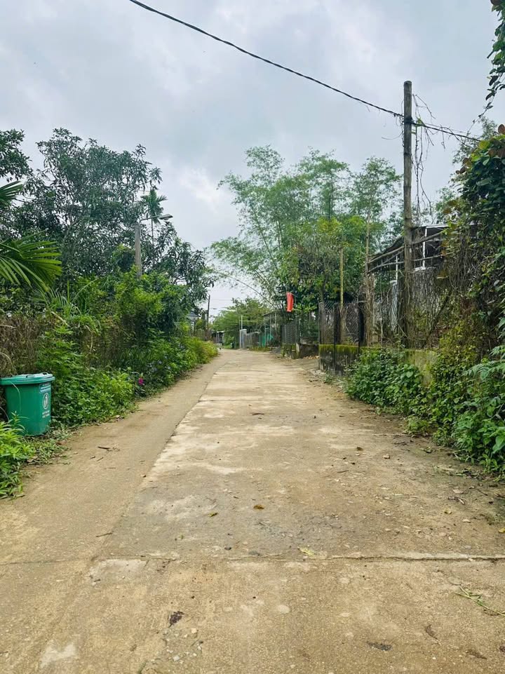 Đất nền xã Tam Thái, huyện Phú Ninh 300m² giá 600 triệu - Đầu tư tiềm năng!