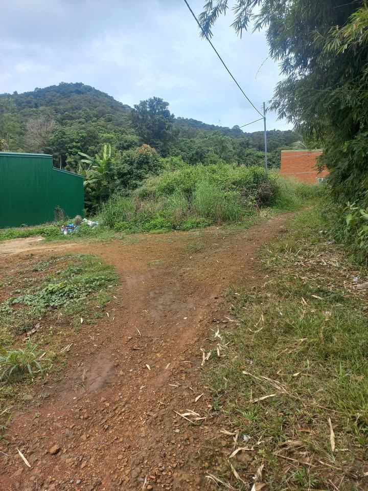 Đất nông nghiệp 500m² tại phường Thành Nhất, Buôn Ma Thuột - Giá chỉ 300 triệu!