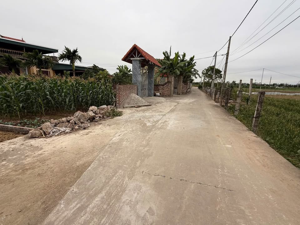 Đất nền Lương Tài Bắc Ninh 80m² giá 1.1 tỷ - Đầu tư sinh lời ngay!