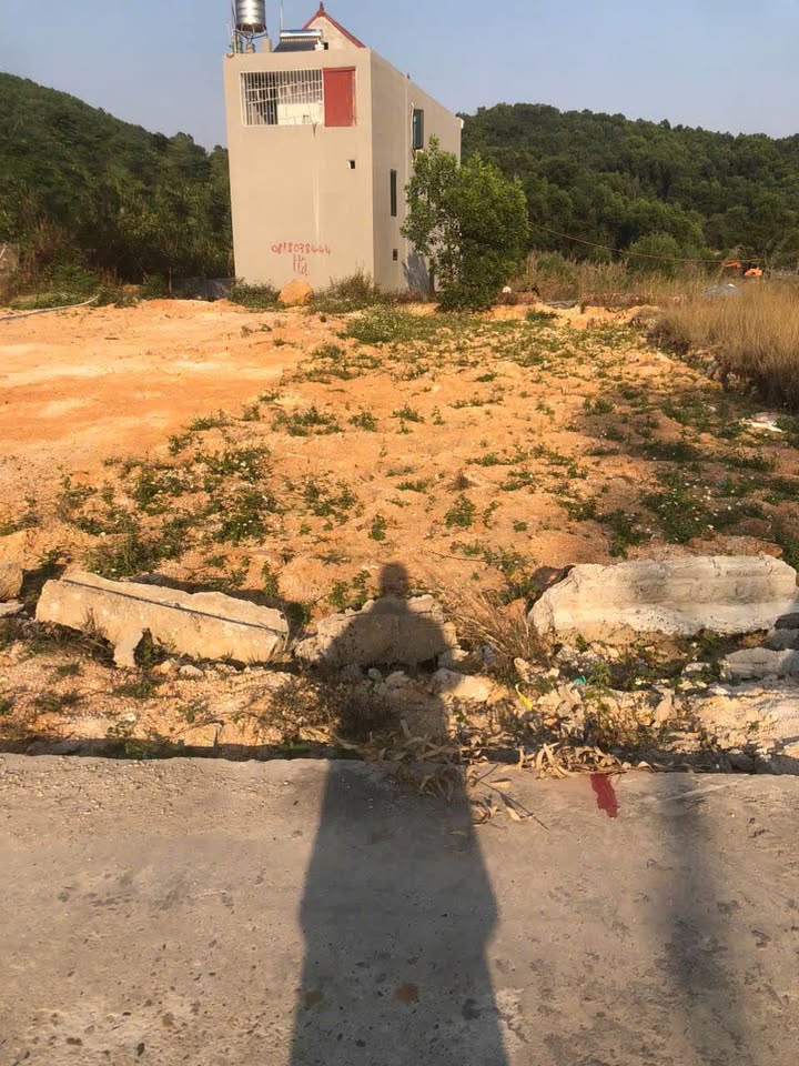 Đất thổ cư Phương Liễu, Quế Võ 124m² giá 1 tỷ - Đầu tư sinh lời ngay!