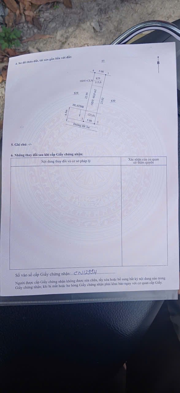 Đất thổ cư Chánh Phú Hòa 115m² giá chỉ 900 triệu - Pháp lý rõ ràng!