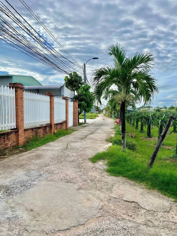 Đất thổ cư Phong Nẫm Phan Thiết 112m² giá 550 triệu - Cơ hội đầu tư tuyệt vời!