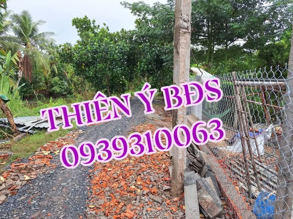 Vườn Sầu Riêng 11.000m² tại Tân Nhuận Đông - Đầu tư sinh lời ngay!