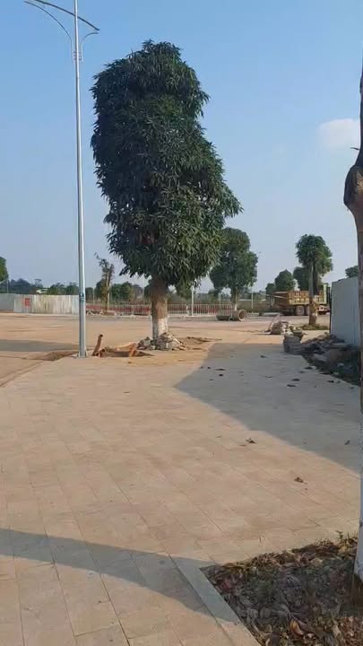 Đất nền Trường Chinh, Việt Trì 100m² giá thỏa thuận - Đầu tư sinh lời ngay!