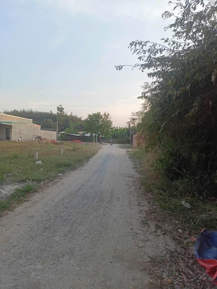 Cho thuê mặt bằng Trảng Bàng Tây Ninh 2800m² - Địa điểm lý tưởng cho quán Cafe và nhà xưởng!