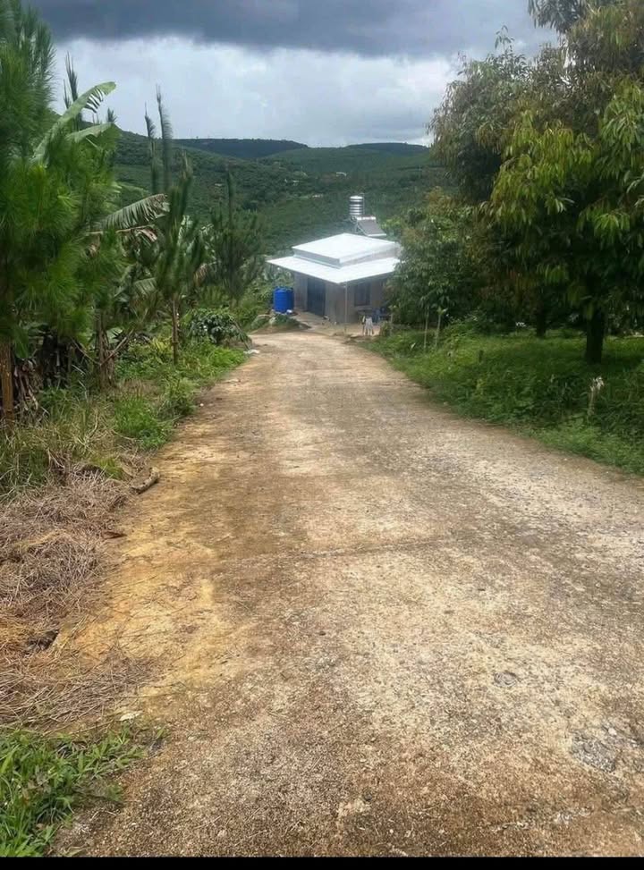 Đất thổ cư Lộc Đức Bảo Lâm 4,4 sào chỉ 1,7 tỷ - Cơ hội đầu tư sinh lời!