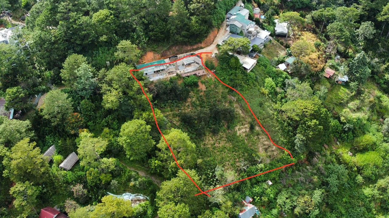 Đất nền phường 3 Đà Lạt 2584m² giá 19 tỷ - Đầu tư sinh lời hấp dẫn!