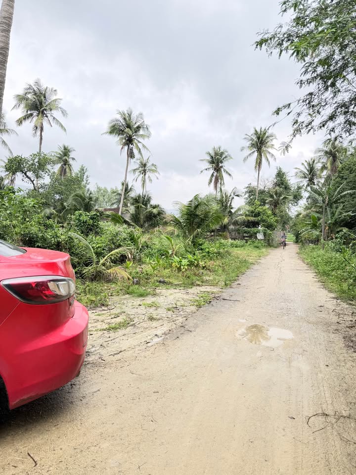 Đất nền 185m² tại Mỹ Hòa, Phù Mỹ chỉ 100 triệu - Gần đường xe tải, thuận lợi cho đầu tư!