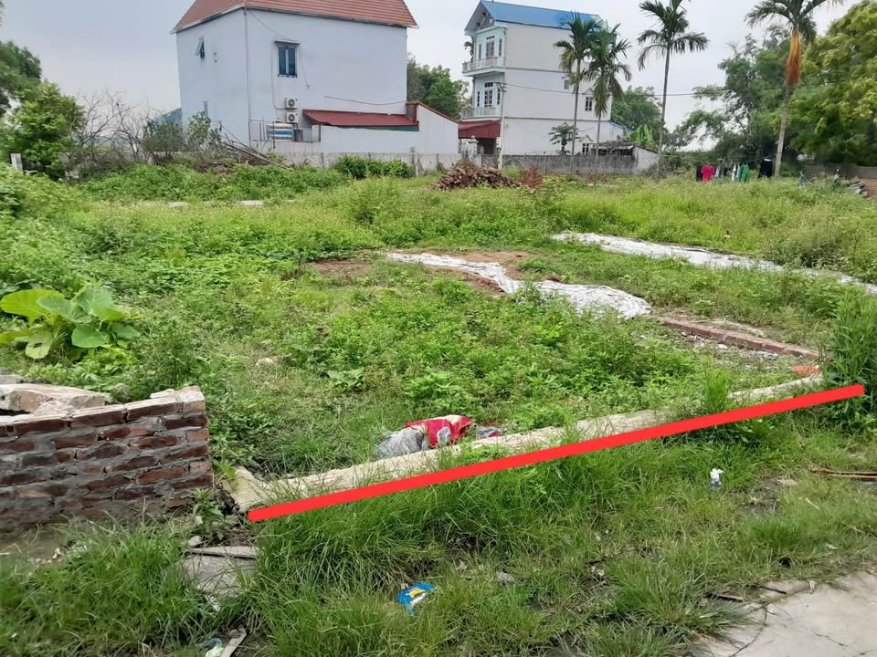 Đất nền Thôn Quế Sơn, xã Dân Hòa, Thanh Oai 51m² giá 3 tỷ - Mặt tiền rộng, ô tô vào tận cửa!