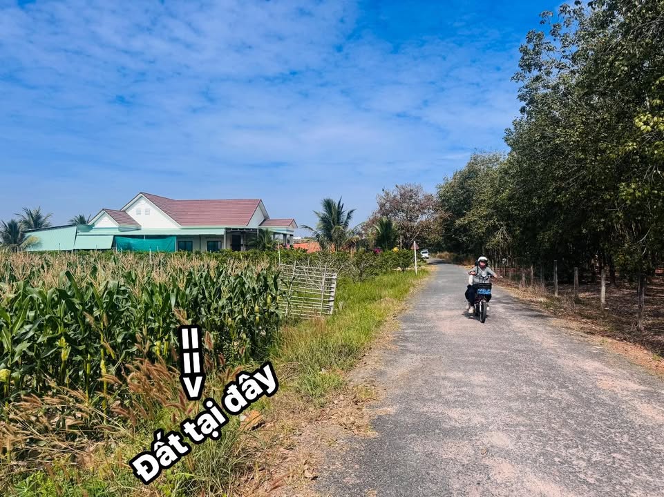 Đất Phường Bình Minh 1000m² giá 649 triệu - View Núi thơ mộng!