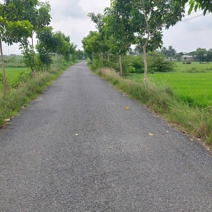 Đất nền xây kho và nhà vườn tại Nhơn Thạnh Trung, Tân An 1906m² - Giá chỉ 5 tỷ!