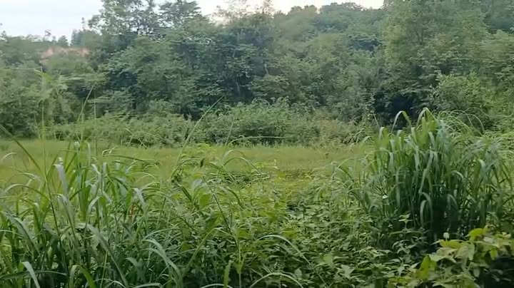 Đất thổ cư 1600m² Vĩnh Tân giá 2.8 tỷ - Sổ riêng, phù hợp làm nhà vườn!