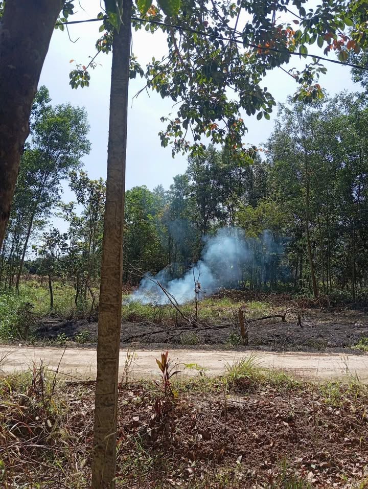 Đất nền Đồng Tiến, Đồng Phú 1050m² giá 650 triệu - Cơ hội đầu tư hấp dẫn!