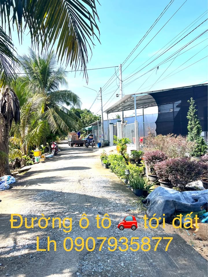 Đất nền 242m² đường Chùa, phường Sa Đéc, giá chỉ 1.25 tỷ - Cơ hội đầu tư hấp dẫn!