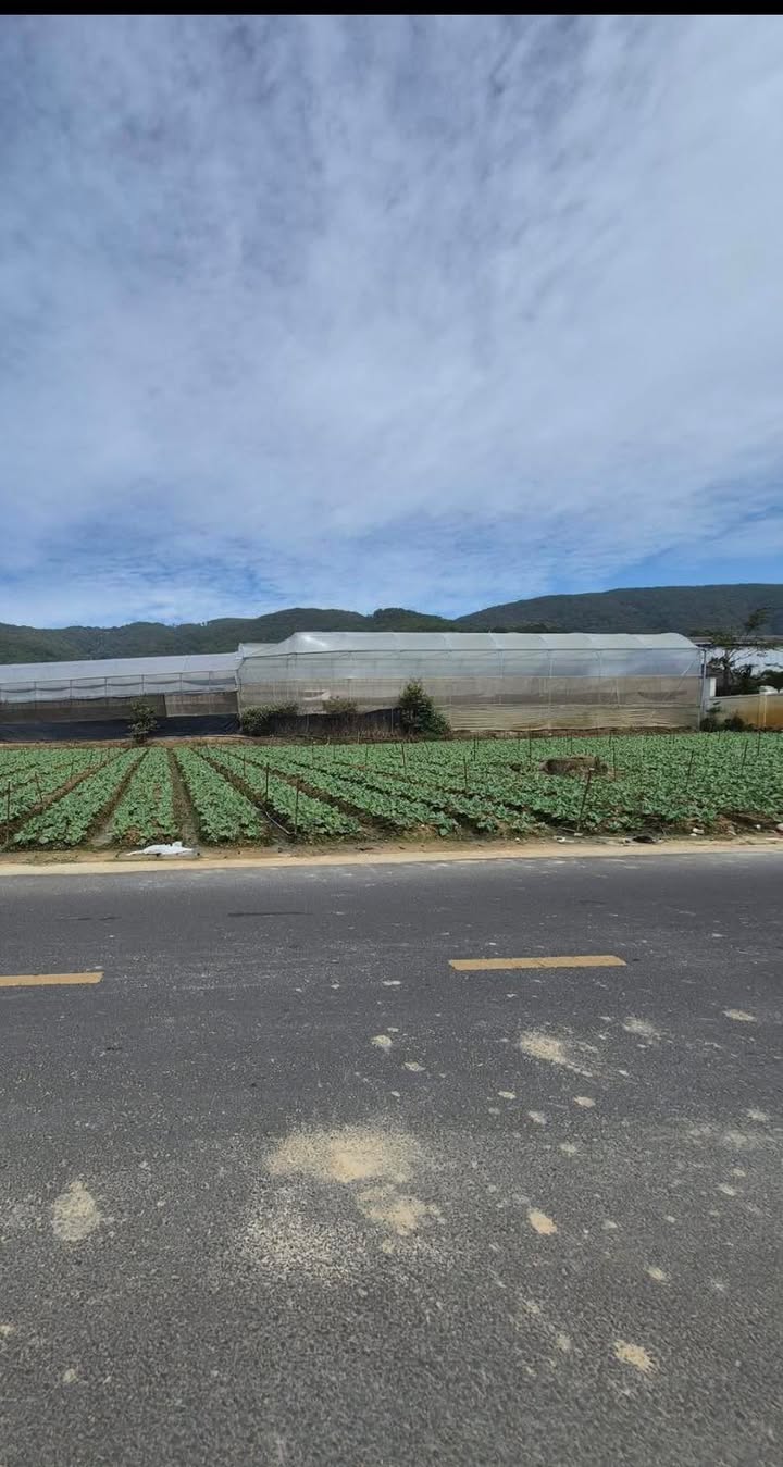 Đất nền Đơn Dương, Lâm Đồng 72m² giá 1.68 tỷ - Vị trí vàng ngay trung tâm!