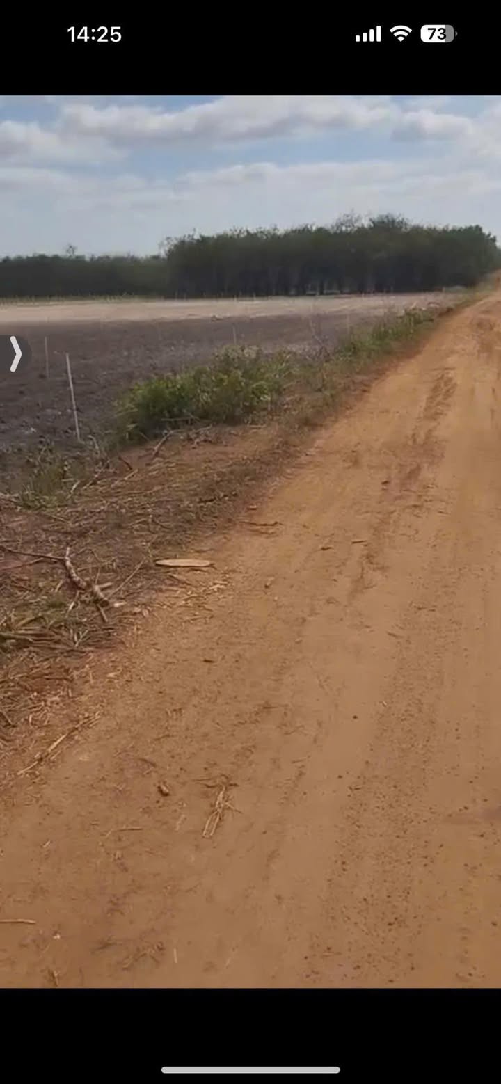 Đất nền 1 công tại Thạnh Tây, Tân Biên, Tây Ninh - Giá 2.4 tỷ - Sổ đỏ chính chủ!